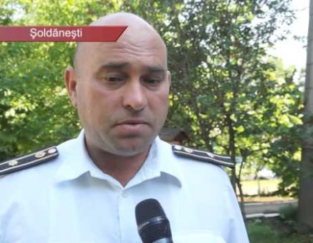 S-au pornit după fân, dar au ajuns la Centrul mamei și copilului