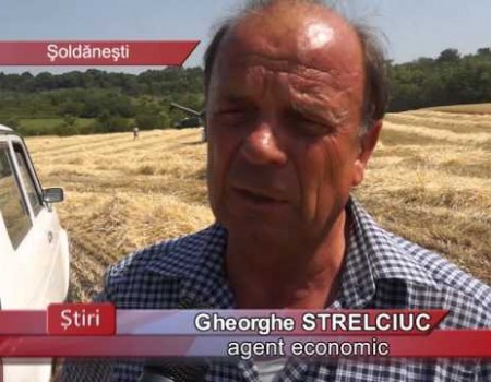 Respectă tehnologia și au roade bogate