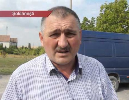 Tamponat pe ”zebră”, în preajma școlii