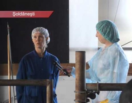În Estonia, susținuți de stat, fermierii prosperă