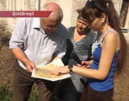 Primarii longevivi părăsesc PLDM