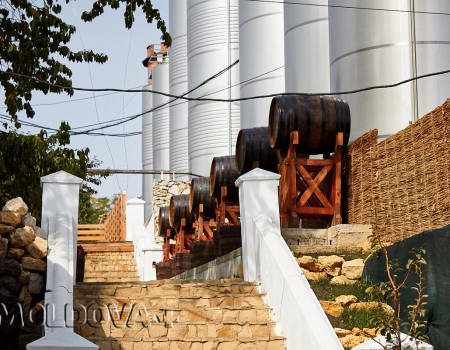 VINĂRIILE DIN MOLDOVA, ÎN CĂUTAREA UNEI NOI IDENTITĂȚI