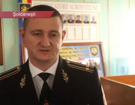 Cu floarea soarelui furată ar putea sta 12 ani la răcoare