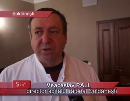 Gripa porcină, la Șoldănești