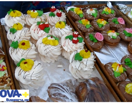 Organizarea afacerilor rurale în regiunea transnistreană: probleme și soluții