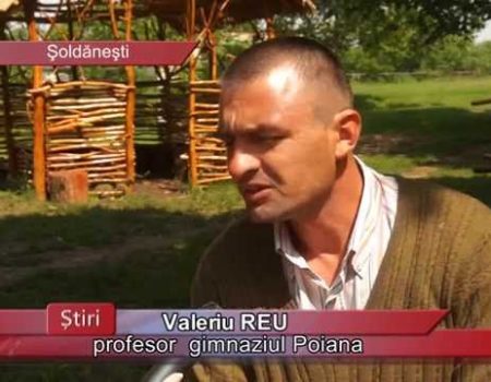 Poveste din lemn, creată de copiii din Poiana