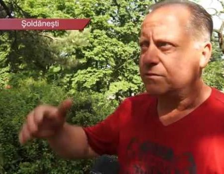 Furtuna distruge culturi agricole, lasă case fără acoperiș și sate fără energie electrică