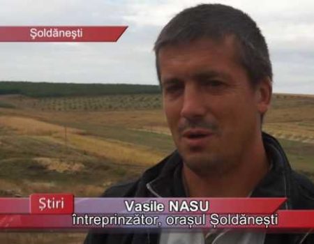 Proiecte europene pe câmpuri șoldăneștene
