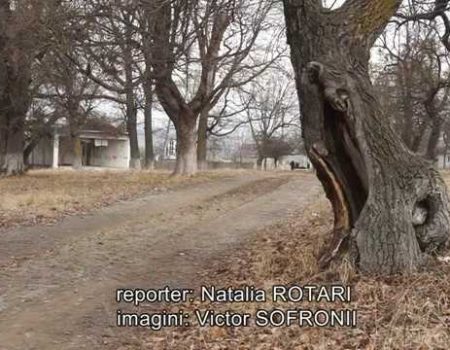 Orașul Șoldănești a rămas fără parc și fără bani