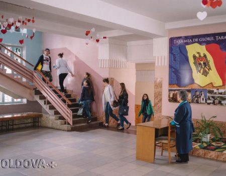 În căutarea unei meserii pentru o viață