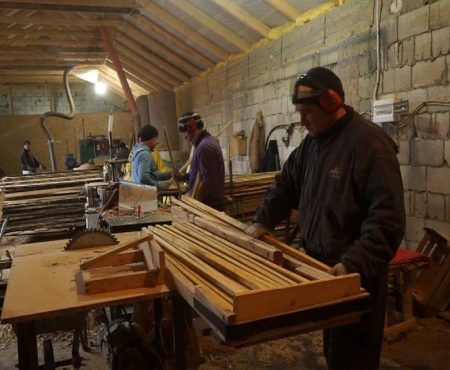 MOLDOVA+  Strâmtorat acasă de restricții la export, și-a mutat afacerea cu lemn în România