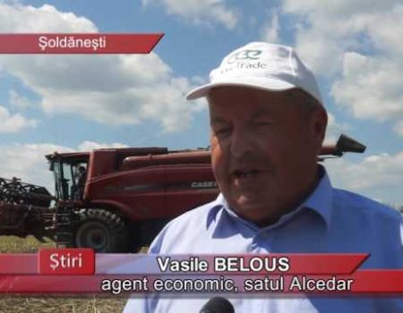 Tehnologii noi și roade bogate, la Alcedar