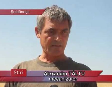 Secerișul culturilor cerealiere, ajuns la ecuator