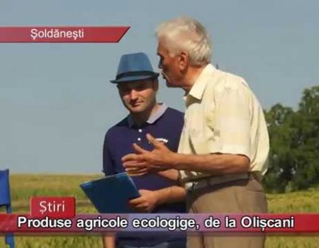 Produse ecologice, de la Olișcani