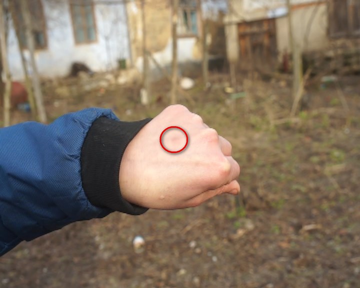 MOLDOVA+  Cu palmele bătute în cuie