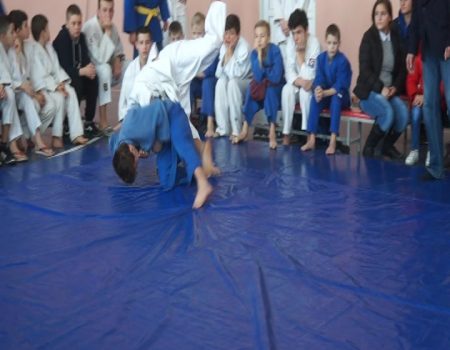 Turneu republican la judo, la Șoldănești