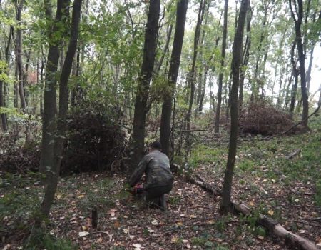 MOLDOVA+  Fâșiile forestiere de protecție, lăsate fără protecție