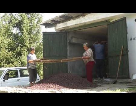 Silvicultorii își extind activitățile