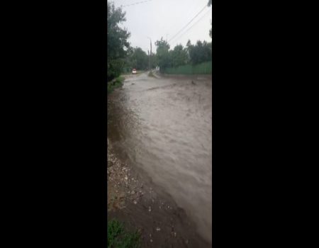 Natura nu iartă iresponsabilitatea. Cine recuperează paguba?