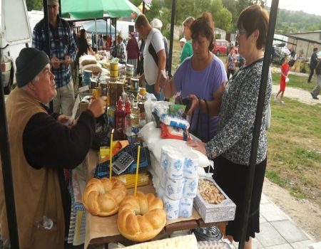 Ambasadorii din Cobâlea mai realizează un proiect