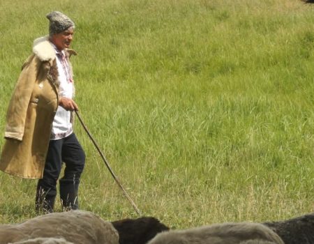 Problema Moldovei: Exportăm materie primă ieftină şi importăm produse procesate scumpe