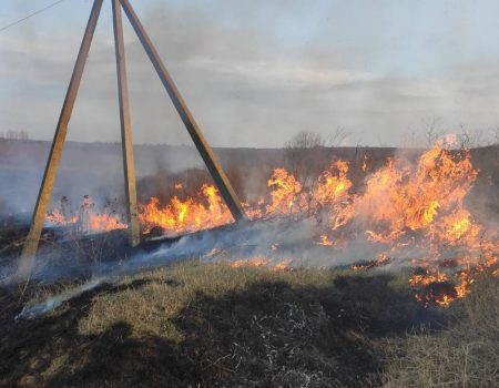 Cu scopuri ”nobile”, distrug mediul ambiant