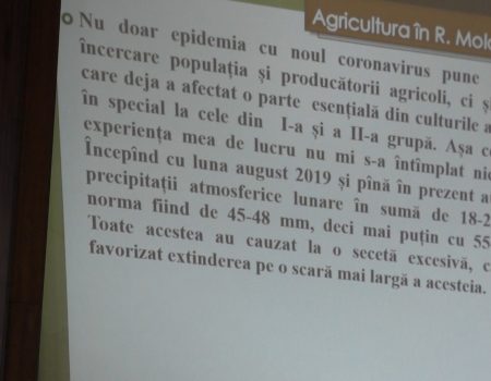 Consiliul raional îngrijorat de secetă