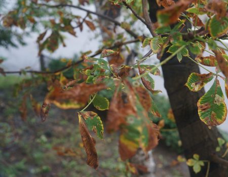 Poftele sexuale, la 80 de ani, îl vor duce după gratii