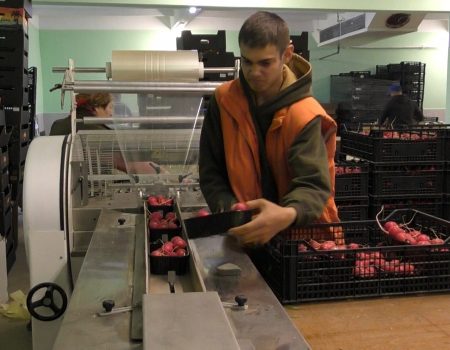 Experiența spaniolă la procesarea zarzavatelor, aplicată la Telenești