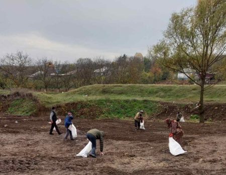 În loc de gunoiști neautorizate și miros urât, sătenii din Ciutești au instalat tomberoane și au plantat copaci 
